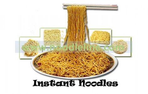 The Secret of Instant Noodles