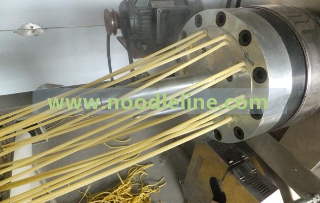 Macaroni Processing Line