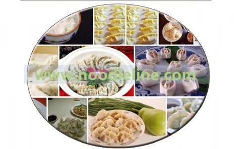 How to Choose Automatic Dumpling Making Machine