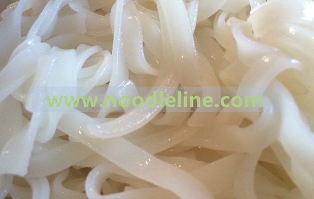 Rice Noodles